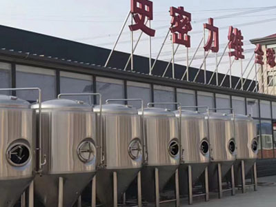 大兴安岭精酿啤酒设备厂—如何判断精酿啤酒设备的密封件需要更换？